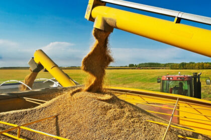 rusia anunta ca nu mai vinde cereale pe piata europeana dupa ce ue i a impus tarife mai mari 665dc61455f77